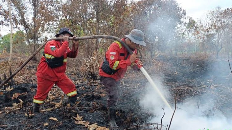 Hotspot Riau Turun Jadi 223 Titik, Pelalawan Masih Jadi Wilayah Terbanyak