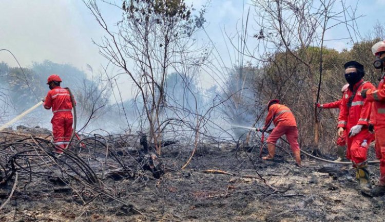 BRIN Jelaskan Efektivitas Tepung Singkong Padamkan Karhutla