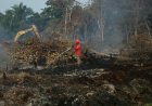 18.770 Hektare Lahan Terbakar di Riau Sejak 1 Januari 2026, BPBD dan Damkar Riau: Terluas di Bengkalis 8.454,40 Ha