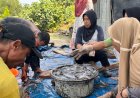PHR Raih Penghargaan Platinum ENSIA 2026 Berkat Program Magnifina