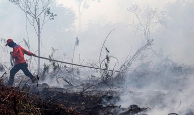 3,8 Juta Lansia Dibayangi Ancaman Masalah Paru-paru hingga Jantung Imbas Karhutla