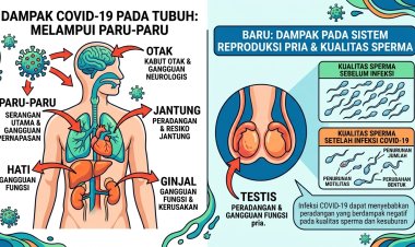 Studi Temukan Bukti Covid-19 Kurangi Jumlah Sperma