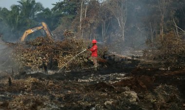 18.770 Hektare Lahan Terbakar di Riau Sejak 1 Januari 2026, BPBD dan Damkar Riau: Terluas di Bengkalis 8.454,40 Ha