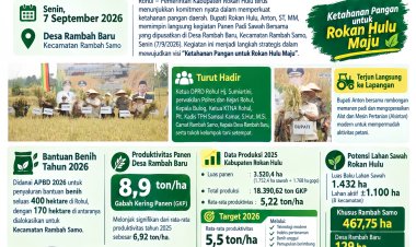 Info grafis  Panen Bersama Bupati Rohul Anton di Rambah Baru