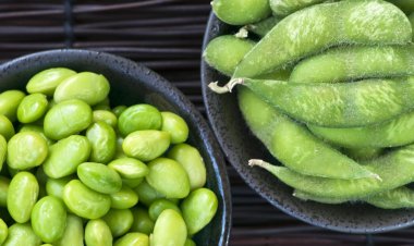 Bosan Telur? Ini 5 Makanan Tinggi Protein Ampuh Lawan Peradangan