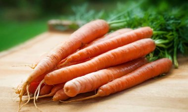 Rajin Makan Wortel Bisa Cegah Mata Minus, Mitos atau Fakta? Ini Kata Dokter