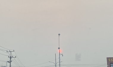 Hujan Guyur Pekanbaru Semalaman, Kualitas Udara Kini di Level Sedang