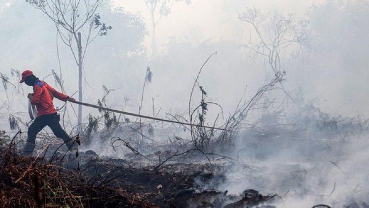 3,8 Juta Lansia Dibayangi Ancaman Masalah Paru-paru hingga Jantung Imbas Karhutla