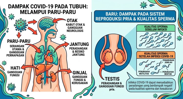 Studi Temukan Bukti Covid-19 Kurangi Jumlah Sperma