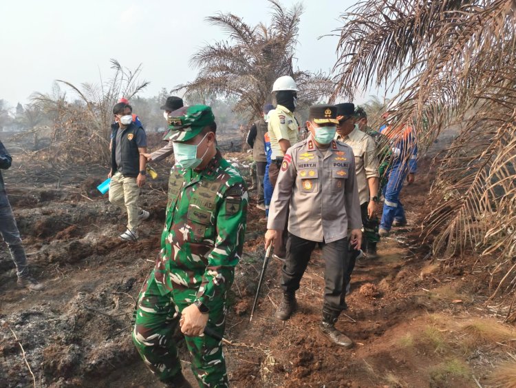 Tim Gabungan Berjibaku Padamkan Api Inhu dan Inhil, Polda Riau Tetapkan 44 Tersangka dari 41 Kasus Karhutla