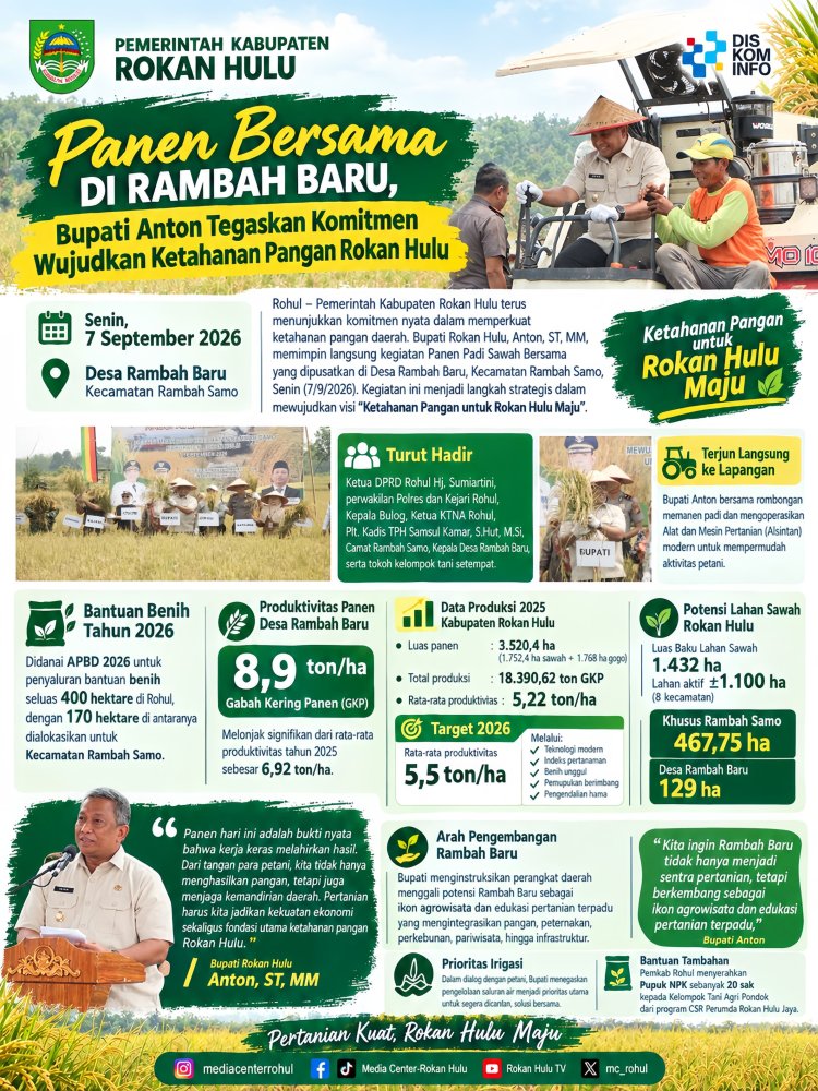 Info grafis  Panen Bersama Bupati Rohul Anton di Rambah Baru