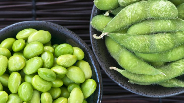 Bosan Telur? Ini 5 Makanan Tinggi Protein Ampuh Lawan Peradangan