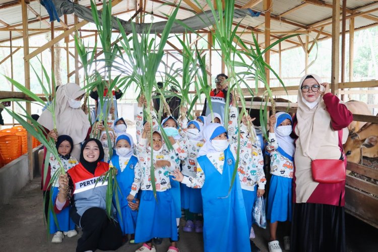 Ketika Anak Usia Dini Belajar Beternak dan Bertani, Memupuk Generasi Sadar Lingkungan bersama Pertamina Hulu Rokan
